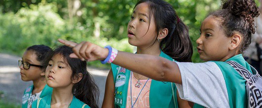 STEM and Outdoor Journeys and badges are here! STEM and Outdoor Journeys and badges are here!